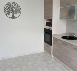 Zdjęcie 4. Kawalerka mieszkanie, do wynajęcia. Kyiv Дарницкий