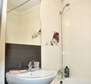 Фото 5. Однокімнатна квартира, оренда. Київ Дарницкий