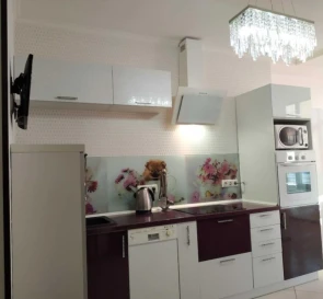 Zdjęcie 4. Dwupokojowe mieszkanie, do wynajęcia. Kyiv Дарницкий