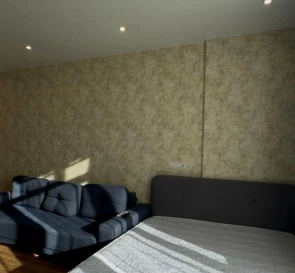 Photo 2. One-Room flat, to rent. Kyiv Дарницкий