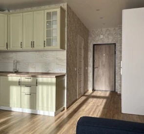 Photo 3. One-Room flat, to rent. Kyiv Дарницкий