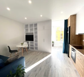 Фото 3. Однокомнатная квартира, аренда. Киев Днепровский