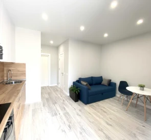 Фото 5. Однокомнатная квартира, аренда. Киев Днепровский