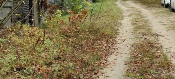 Foto 1. Terreno, en venta. Zhytomyr Передмістя