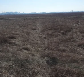 Photo 3. Lot, for sale. Pohreby Sadova