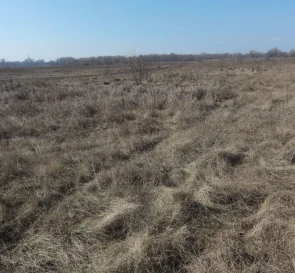 Photo 5. Lot, for sale. Pohreby Sadova