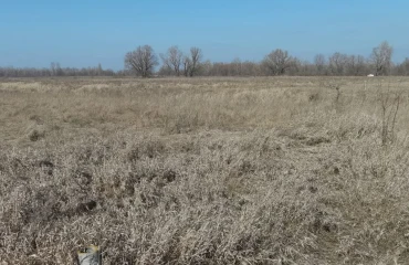 Photo Lot, for sale. Pohreby Sadova