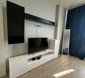 Photo 4. One-Room flat, to rent. Kyiv Дарницкий