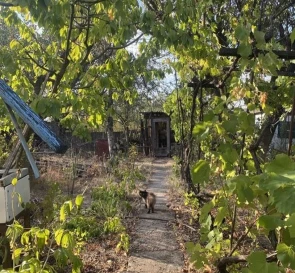 Фото 2. Дом, продажа. Фоминка