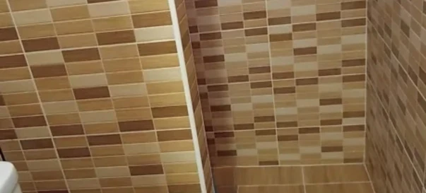 Фото 3. Будинок, продаж. Житомир Мальованка