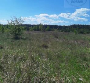 Фото 4. Участок, продажа. Бабынци 40-річчя Перемоги  (Івана Мазепи)