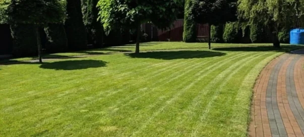 Фото 3. Дом, продажа. Житомир Передмістя