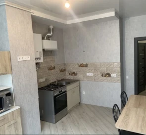 Фото 4. Однокімнатна квартира, продаж. Київ Голосеевский