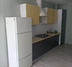 Фото 3. Однокімнатна квартира, оренда. Київ Дарницкий