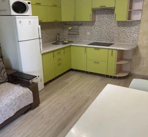 Фото 5. Однокімнатна квартира, оренда. Київ Дарницкий