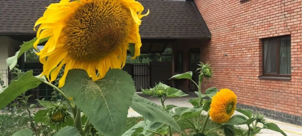 Фото 2. Будинок, продаж. Житомир Передмістя