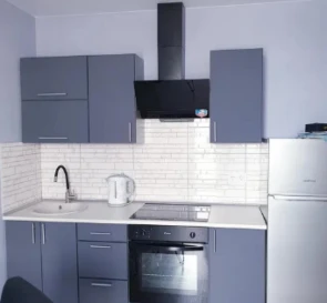 Photo 5. One-Room flat, to rent. Kyiv Дарницкий