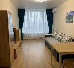 Photo 3. One-Room flat, to rent. Kyiv Дарницкий
