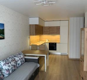 Photo 4. One-Room flat, to rent. Kyiv Дарницкий