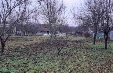 Фото Ділянка, продаж. Бобровиця садовое товарищество - Садове товариство Берізка