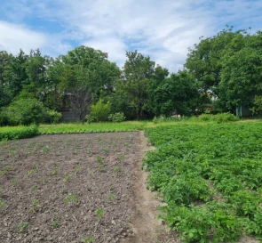 Fotografie 2. Teren, de vânzare. Kyiv Деснянский