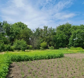 Fotografie 4. Teren, de vânzare. Kyiv Деснянский