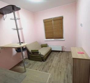 Photo 3. One-Room flat, for sale. Kyiv Голосеевский