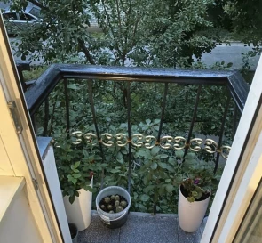 Photo 2. One-Room flat, for sale. Kyiv Шевченковский