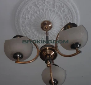 Foto 5. Monoambiente piso, en venta. Kyiv Печерський