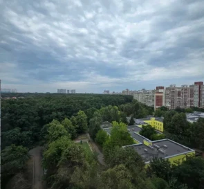 Photo 2. Three-Room flat, for sale. Kyiv Голосеевский, Teremky