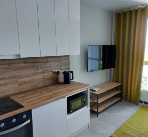 Фото 4. Однокомнатная квартира, аренда. Киев Дарницкий