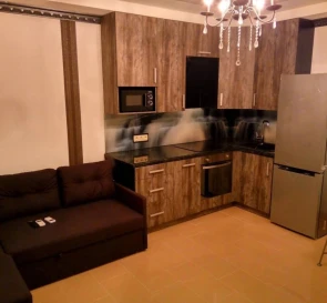 Photo 4. One-Room flat, to rent. Kyiv Дарницкий