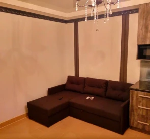 Photo 5. One-Room flat, to rent. Kyiv Дарницкий