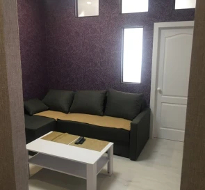 Photo 2. One-Room flat, to rent. Kyiv Дарницкий