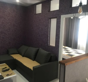 Photo 3. One-Room flat, to rent. Kyiv Дарницкий