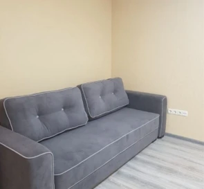 Photo 5. One-Room flat, for sale. Kyiv Печерский , Дружбы народов