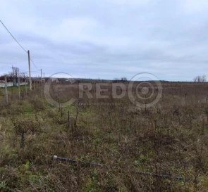 Photo 4. Lot, for sale. Lozuvatka Tovstoho