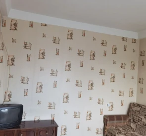 Photo 4. One-Room flat, to rent. Kyiv Оболонский