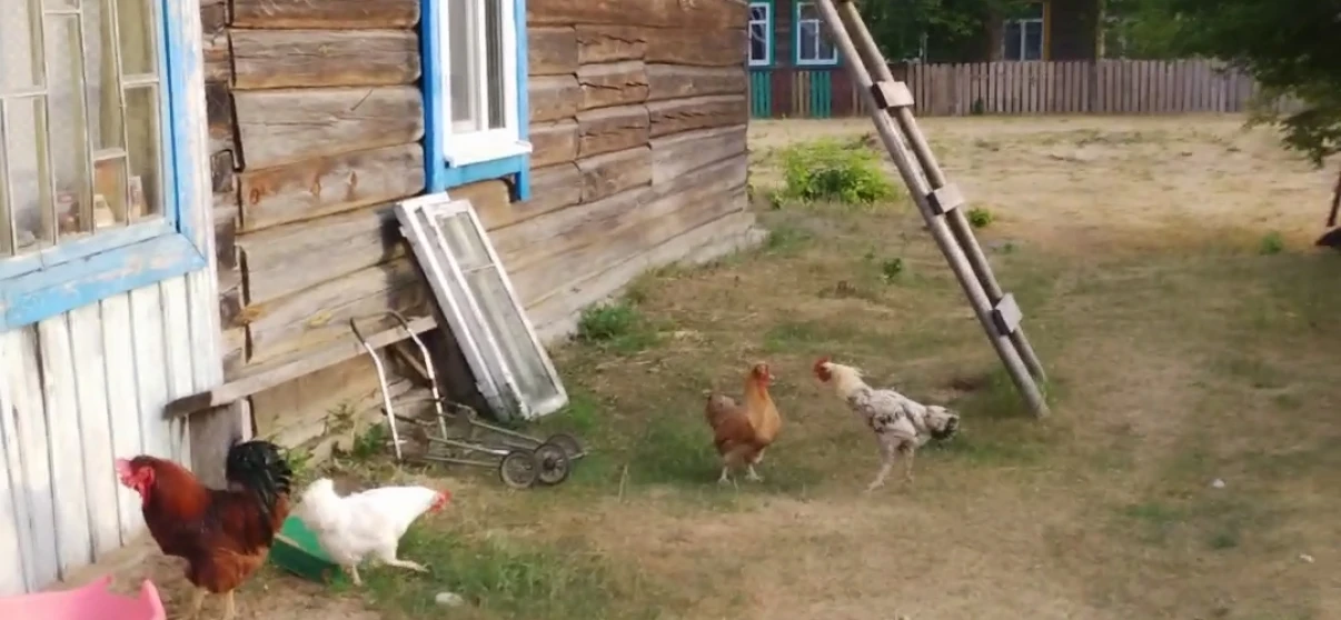 Фото Будинок, продаж. крайцы