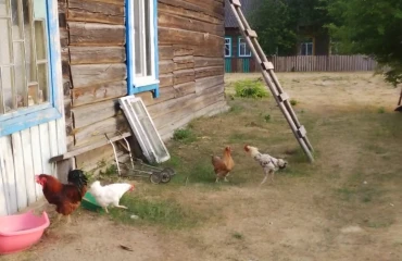 Фото Будинок, продаж. крайцы