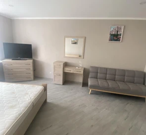 Photo 3. One-Room flat, to rent. Kyiv Дарницкий