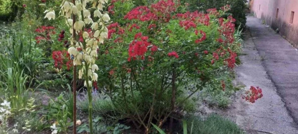 Foto 1. Monoambiente piso, en venta. Zhytomyr Ціолковського  7