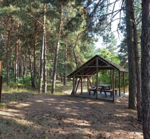 Фото 3. Коммерческая, продажа. Лепляве Софиевская