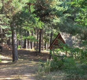 Фото 3. Участок, продажа. Канев Днепровская