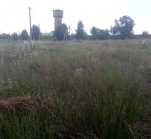 Фото 4. Участок, продажа. Глубокое Весенняя