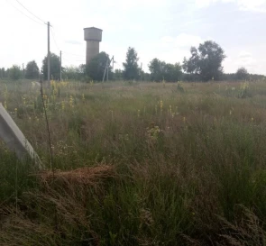 Фото 5. Участок, продажа. Глубокое Весенняя