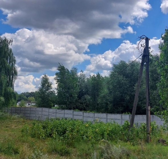 Фото 1. Участок, продажа. Чубинское Выставочная