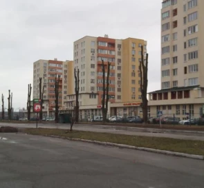 Фото 3. Участок, продажа. Чубинское Выставочная