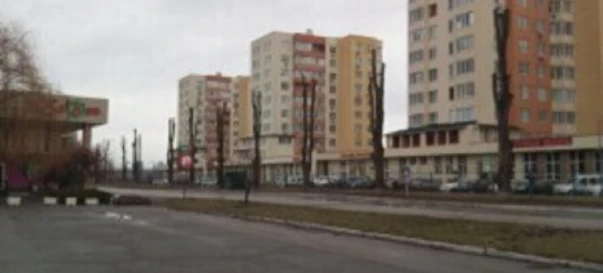 Фото 2. Участок, продажа. Чубинское Выставочная