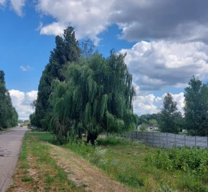 Фото 5. Коммерческая, аренда. Чубинское Выставочная